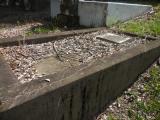 image of grave number 835137